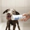 Animology Perfect Puppy Shampoo - Lemon In Shower