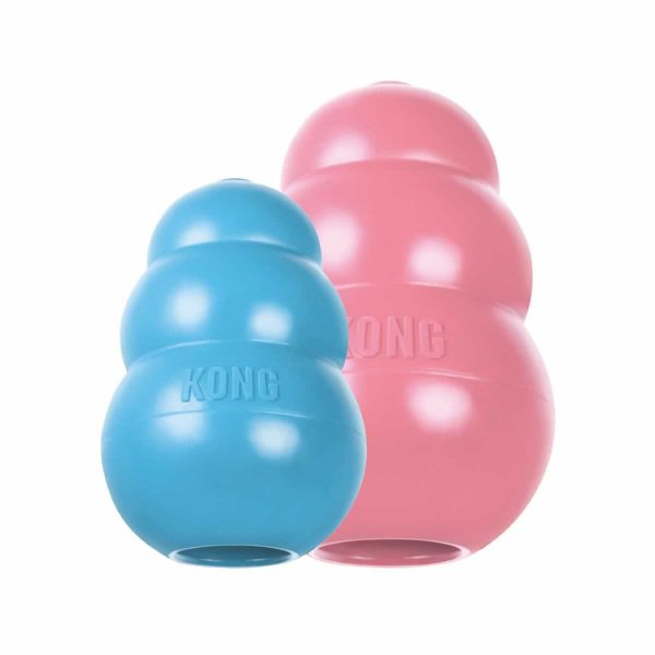 Kong Puppy Classic Pink and Blue