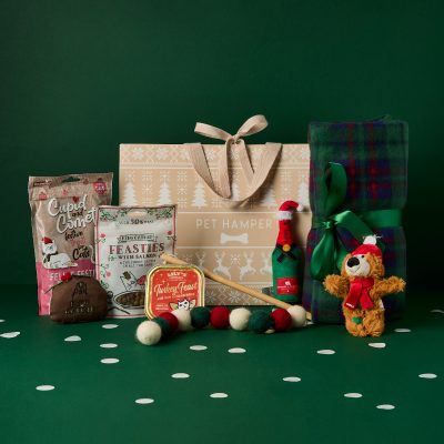 Christmas Cat Hamper