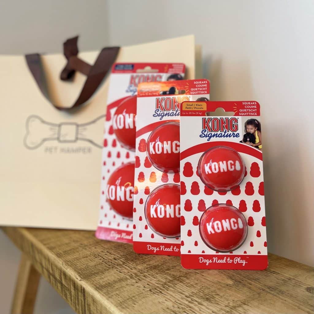Kong Signature Balls Dog Toys Online by Pet Hamper