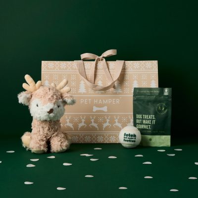 Mini Christmas Dog Hamper 2024