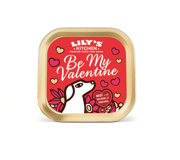 lilys-kitchen-be-my-valentine-dog-food