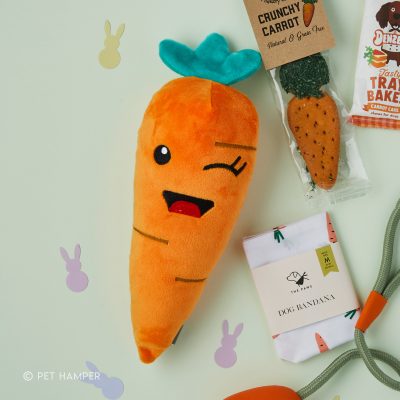 Fuzzyard Winky Carrot - Flatlay
