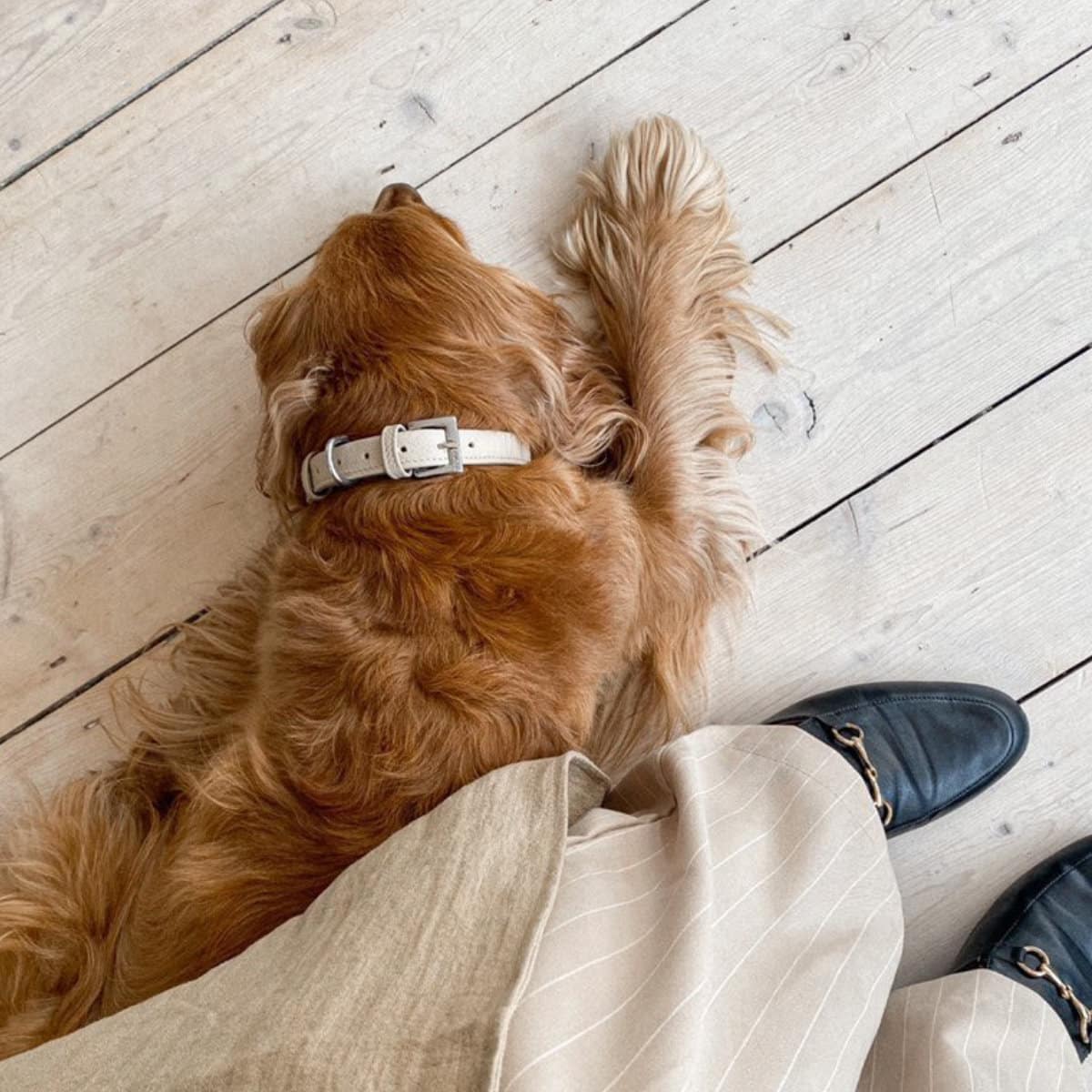 Indulgence Folded Collar Soft Truffle Beige - Image 3