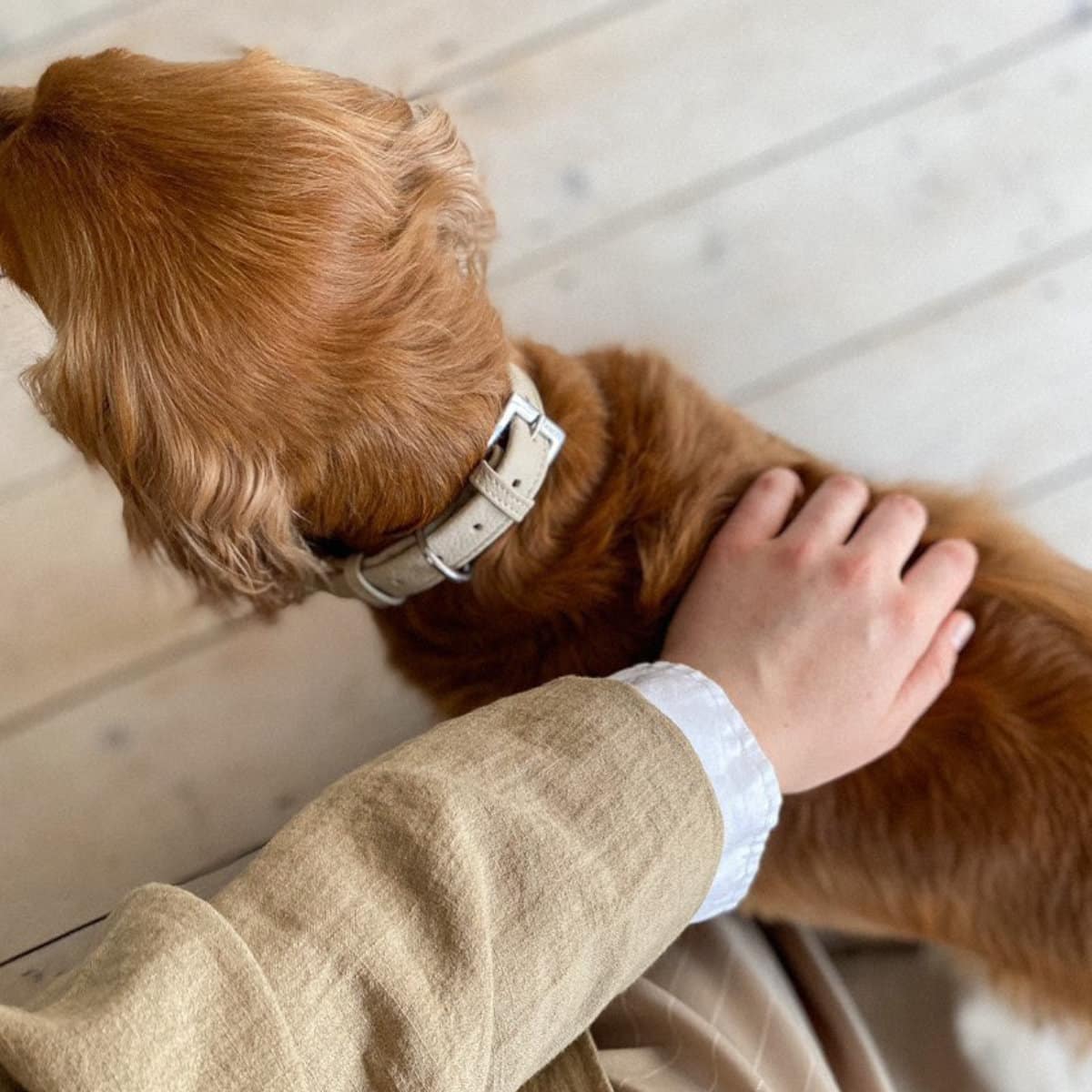 Indulgence Folded Collar Soft Truffle Beige - Image 4