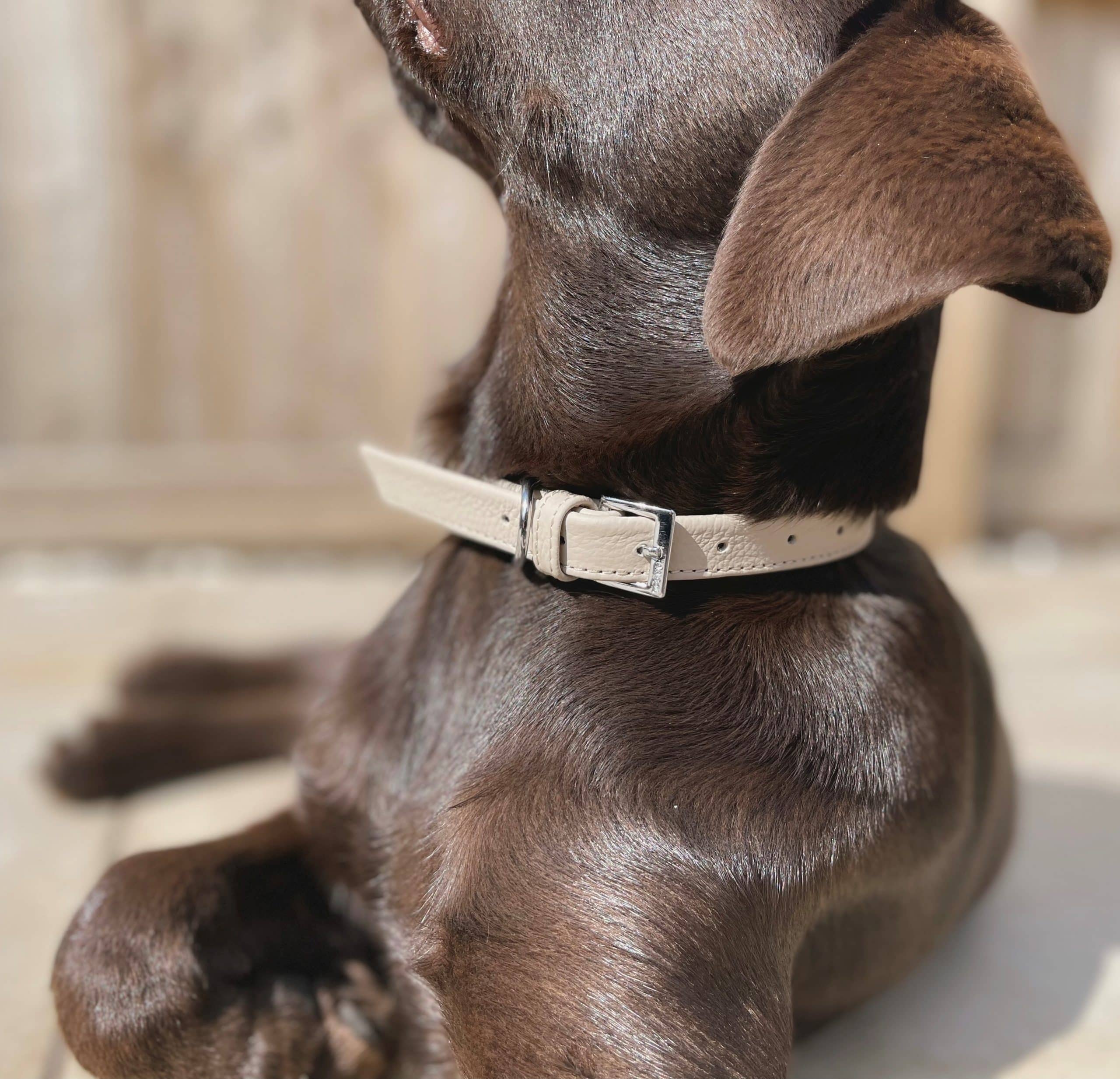 Indulgence Folded Collar Soft Truffle Beige - Image 2