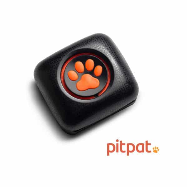 PitPt Dog Activity Monitor
