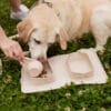 Maxbone GO Portable Bowls with Dog