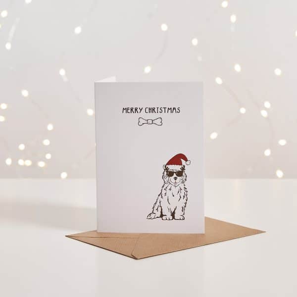 Pet Hamper Christmas Card