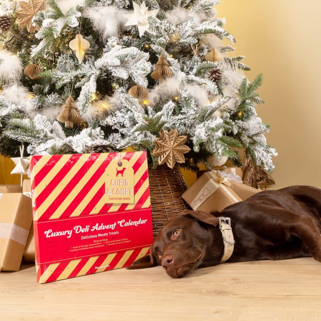 Rosewood Luxury Deli Advent Calendar for Dogs Pet Hamper