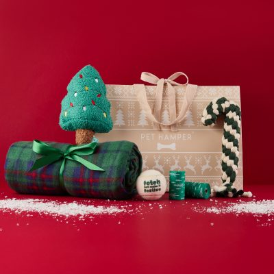 Green Christmas Dog Hamper 2025