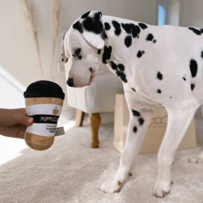 Dog Products