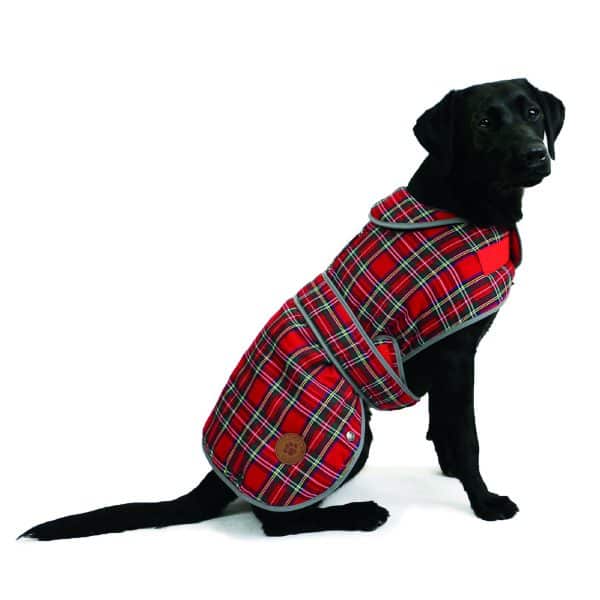 Ancol Highland Tartan Dog Coat on black Labrador