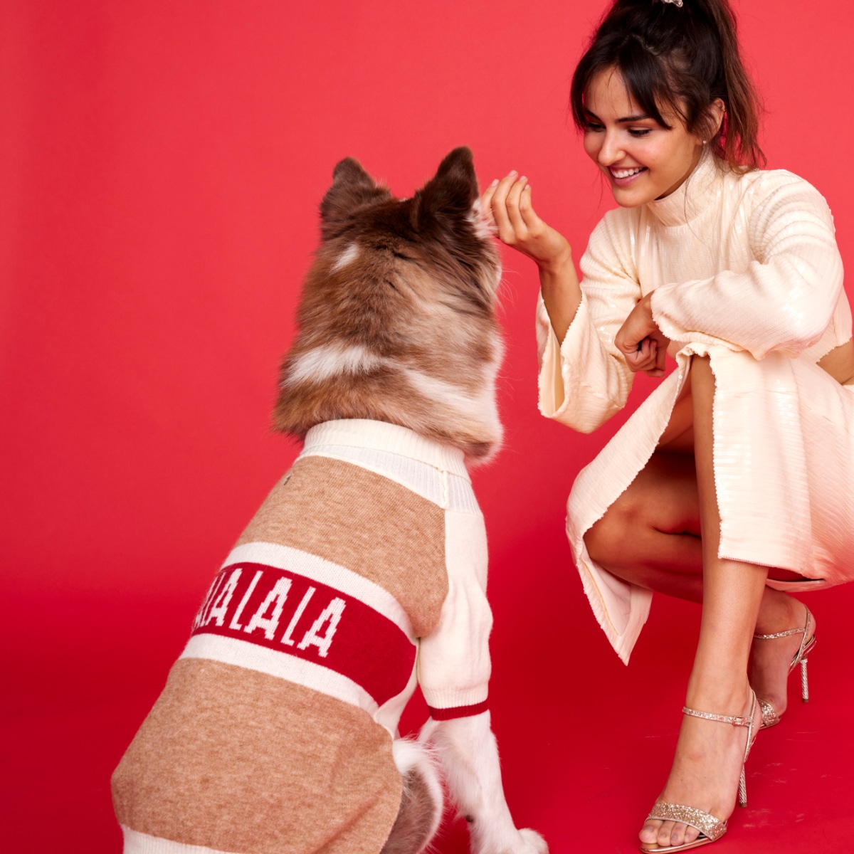 Maxbone Fa La La Jumper - Dog Sat Down