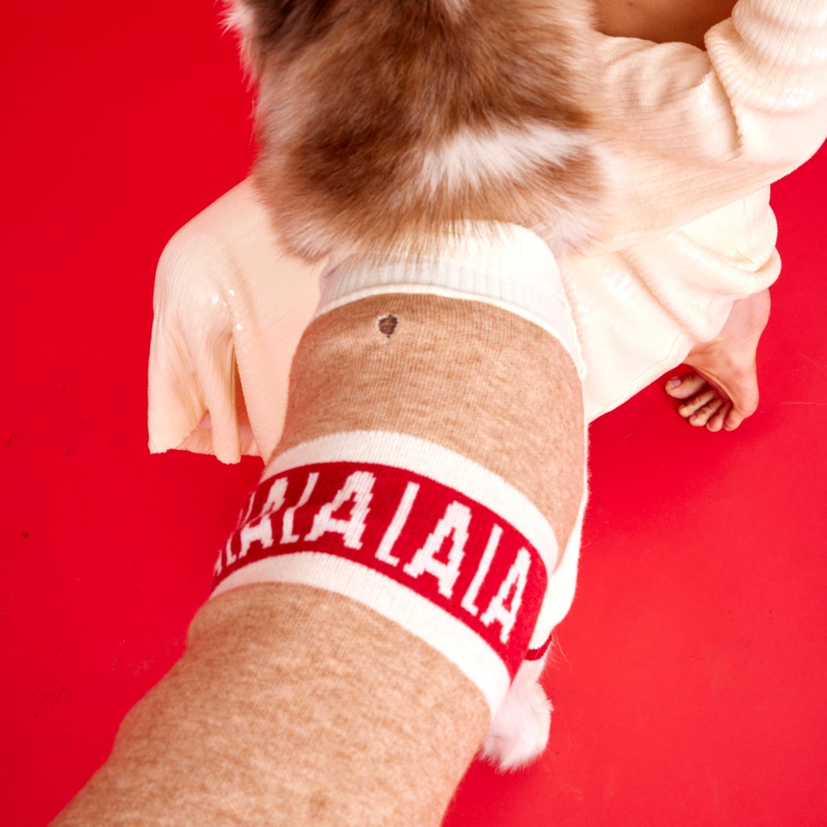 Maxbone Fa La La Jumper - Dog Stood Up