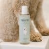 Paloma's Products Canine Care Wash with Dog