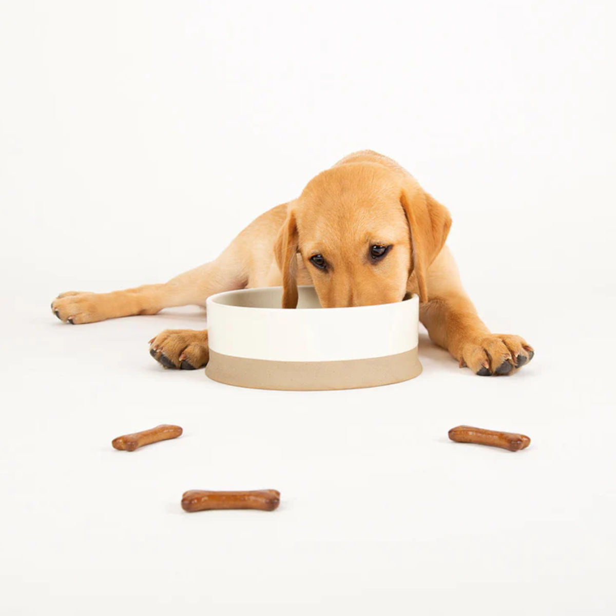 Scruffs Scandi Non Tip Pet Food & Water Bowl - Cream - Medium - Image 2