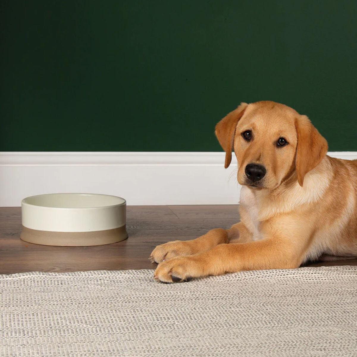 Scruffs Scandi Non Tip Pet Food & Water Bowl - Cream - Medium - Image 3