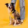 Maxbone Harness - Yellow with Dog
