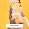 Maxbone Harness - Yellow with Dog