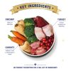 Lily's Kitchen Christmas Three Bird Feast for Dogs Infographic