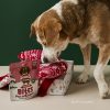 Christmas Eve Dog Gift Box with Dog Interacting