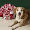 Christmas Eve Dog Gift Box with Dog