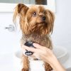 DOG By Dr Lisa Massage Brush - Black - Lifestyle - with Dog