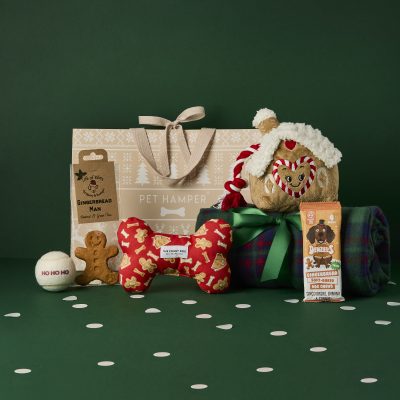 Gingerbread Christmas Dog Hamper