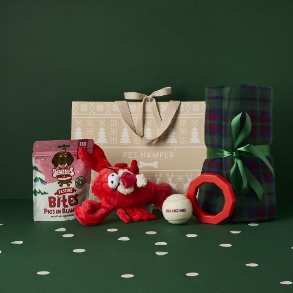 Lobster Christmas Dog Hamper