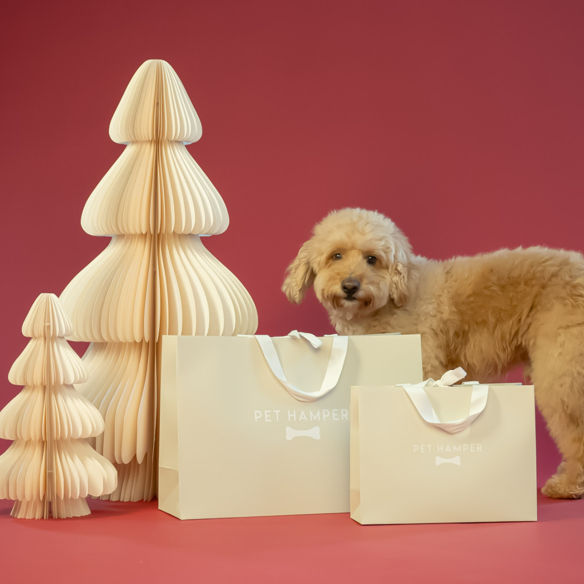 Pet Hamper Christmas All Products