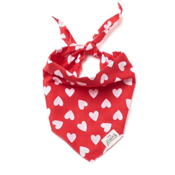 Valentine's Dog Bandana Red Hearts