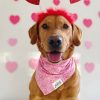 Valentine's Dog Bandana Wordy Love Hearts Lifestyle