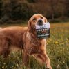 Beco Treats - Dog Choc - with Dog