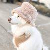 Fur Elise Pet Hat on a Dog