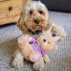 Bonnie Birthday Bear Dog Toy Lifestyle
