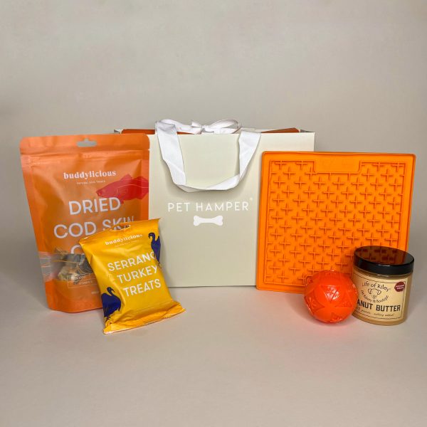 Sainsburys Dog Hamper