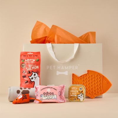Sainsbury's Bank Cat Hamper