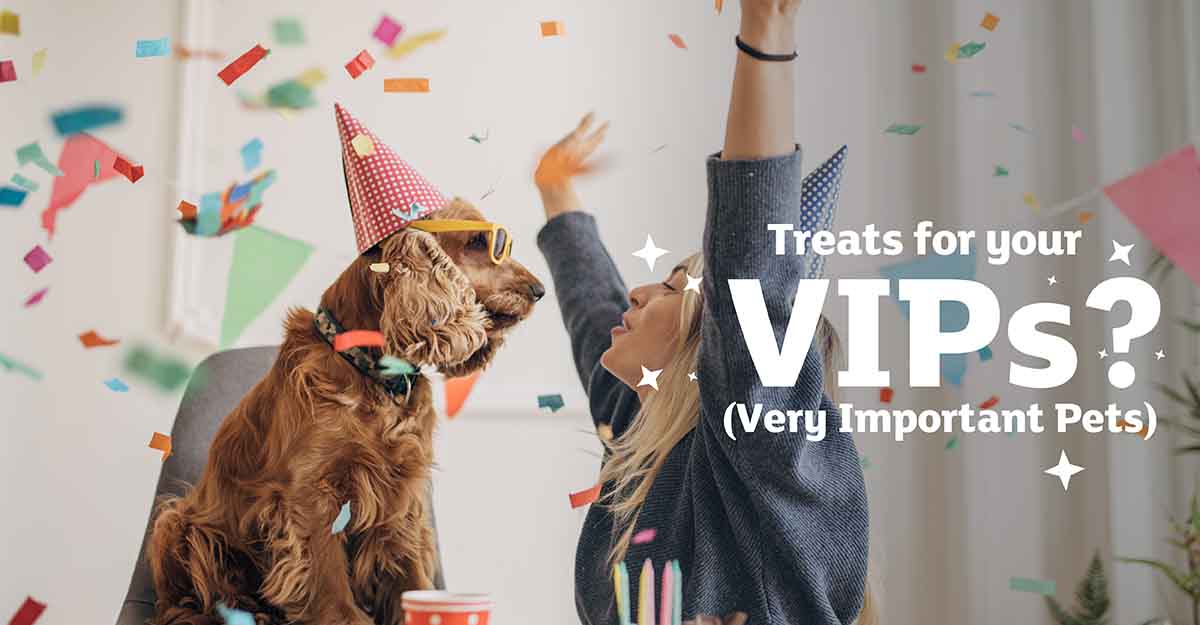 Treats for your VIP's (Very Important pets)