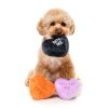 Fuzzyard Spooky Candy Hearts - Dog