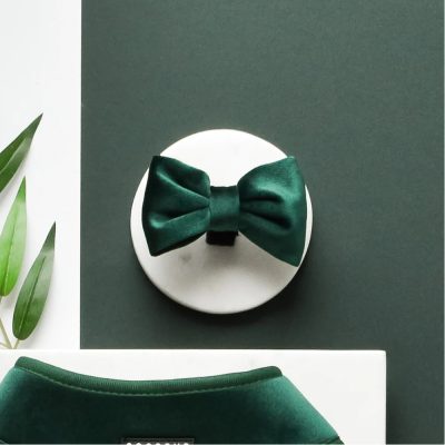 cocopup luxe velvet bow tie forest green