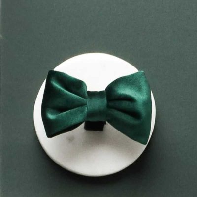 Cocopup - Luxe Velvet Bow Tie - Forest Green