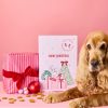 Marleybones Dog Advent Calendar 2024 with Dog