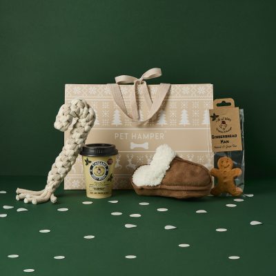 Neutral Christmas Dog Hamper - Slipper