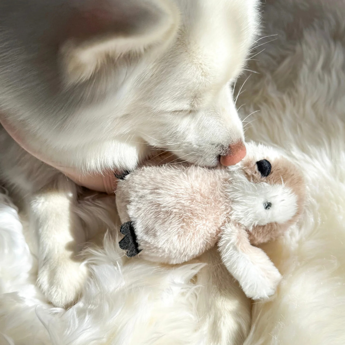 Fur Elise Penguin - with Dog