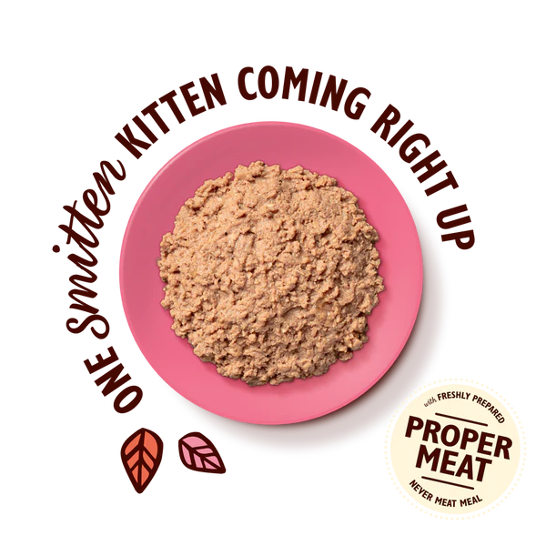 Lily's Kitchen Kitten Chicken Pate - Infographic