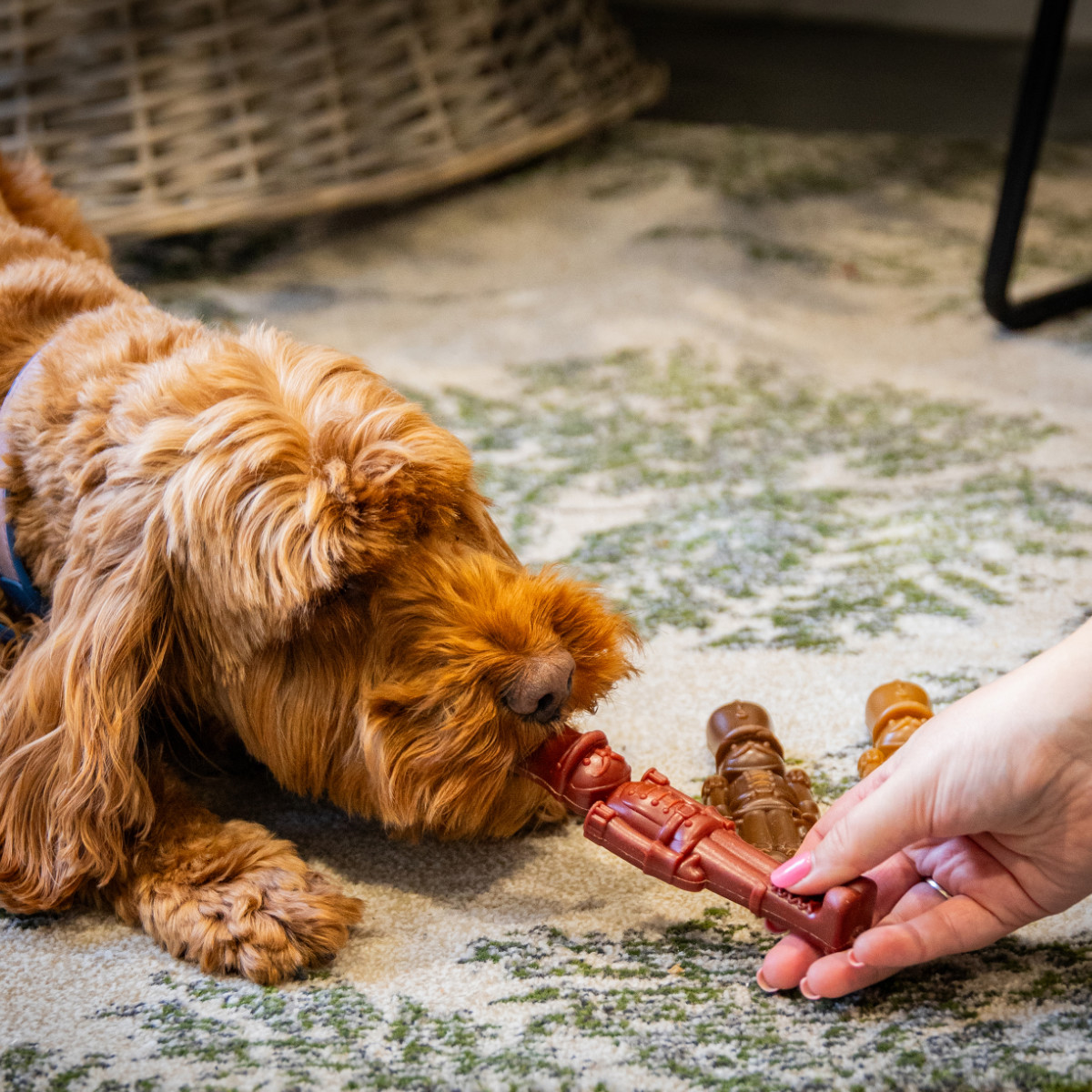 Rosewood Nutcracker Trio - Christmas Dog Treats - with Dog