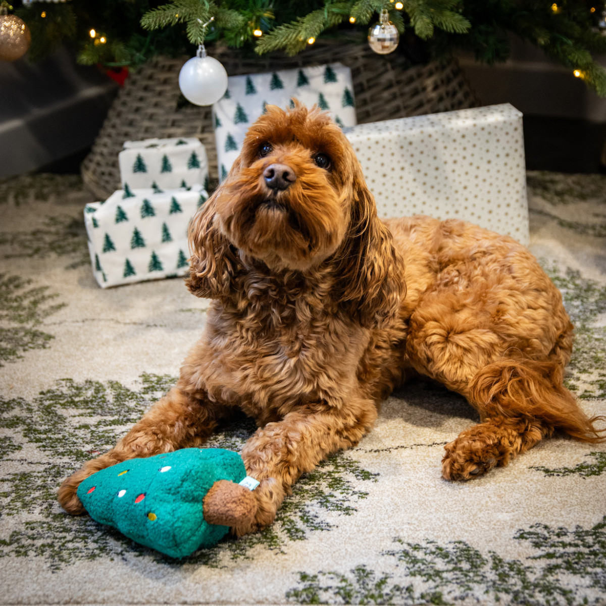 TuffLove Christmas Tree Dog Toy - with Dog