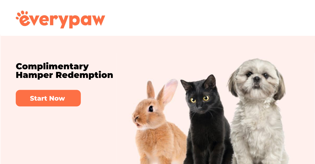 Everypaw Pet Insurance Header
