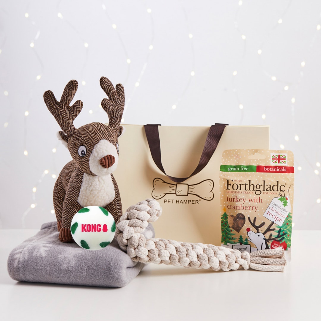 A Little Of Everything Christmas Dog Hamper